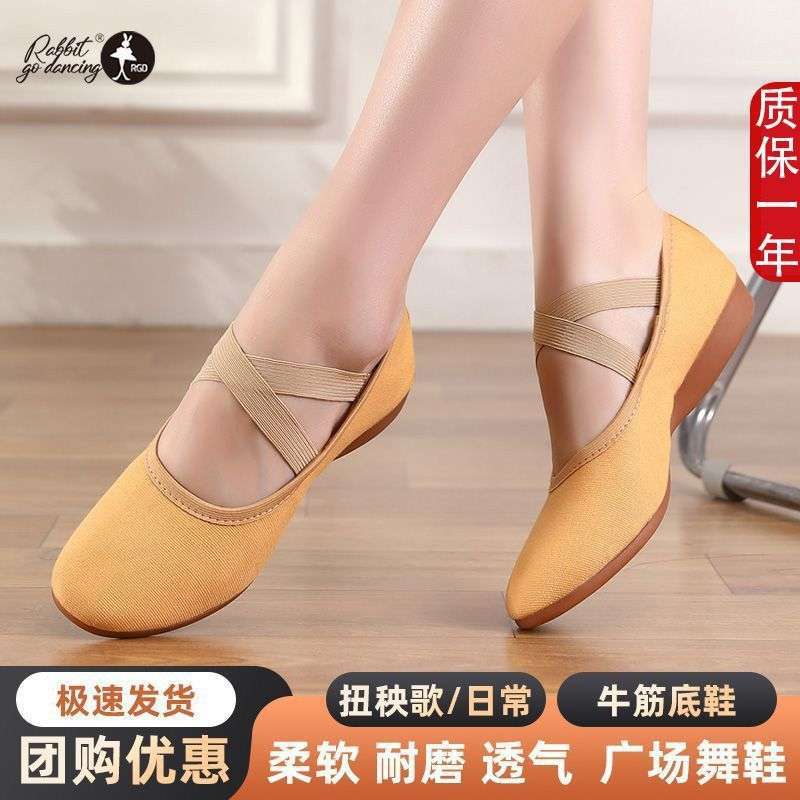 广场舞鞋女新款帆布鞋成人四季红舞鞋舞蹈鞋低跟软底布鞋跳舞鞋