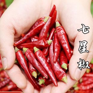 四川小米椒特辣特香干辣椒批发朝天椒七星椒辣椒面满天星干辣椒