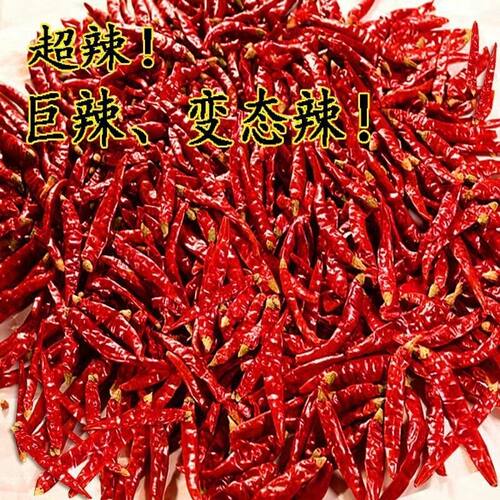 干辣椒魔鬼椒巨辣超辣特