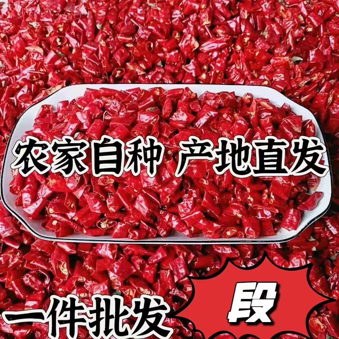 干辣椒段无籽微辣特辣魔