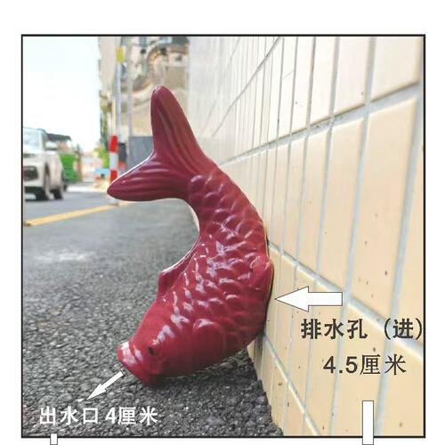 玫红陶瓷鲤鱼出水口排水口装饰室外墙龙头滴水池喷水管大号流水
