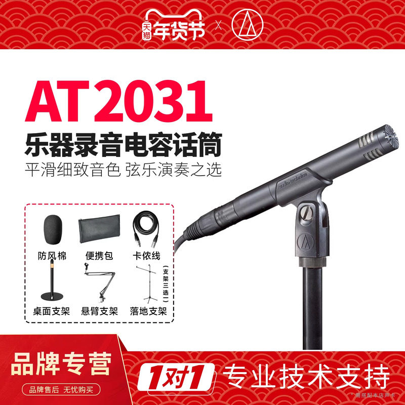 铁三角 AT2031小振膜电容麦钢琴提琴吉他弹唱人声乐器话筒麦克风