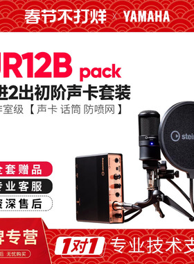 Steinberg/YAMAHA雅马哈声卡套装 UR12B专业有声书直播配录音设备
