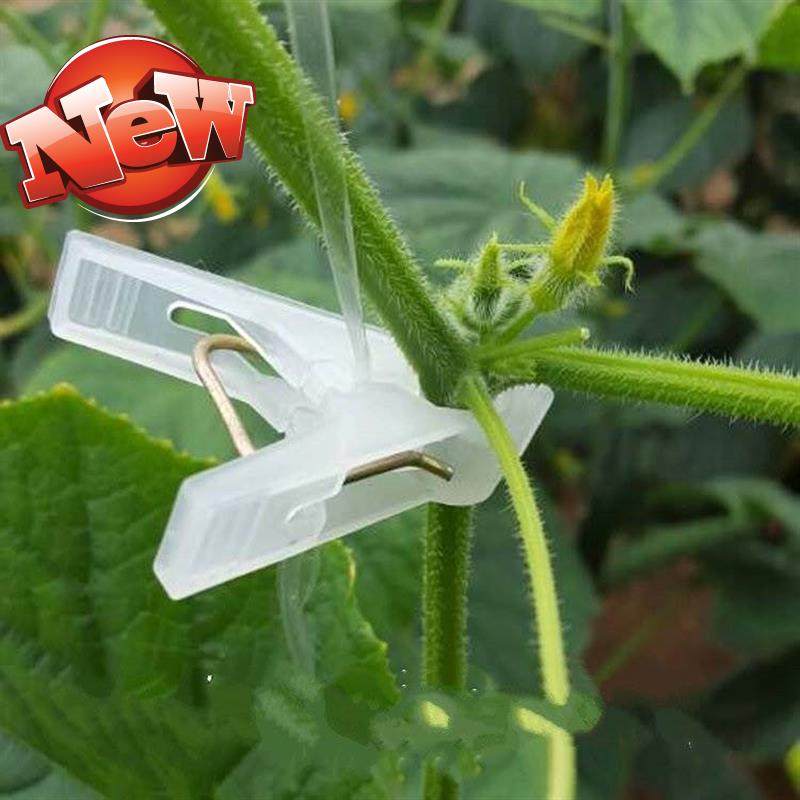 蔬菜温室大棚配件塑料夹M吊秧夹吊瓜夹番茄夹黄瓜夹卡扣夹子|ruв категории Женская одежда, женской одежды - от Buy2taobao.com для оказания профессиональной услуги покупки агента Taobao