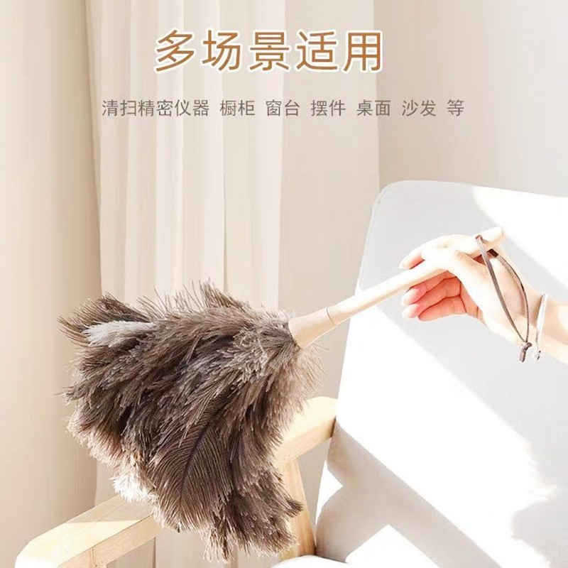鸵鸟鸡毛掸子家用扫灰尘