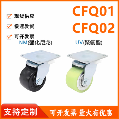 怡和达型 CFQ01/02-65/75-NM/UV 低重心脚轮 容许载荷250~300kg
