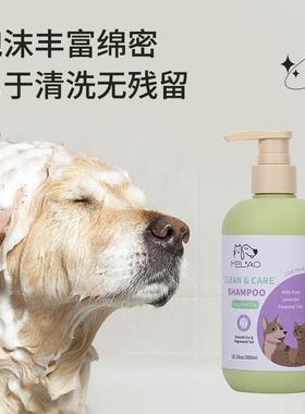 Puppies bathe in the puppies, puppies in the puppies, bathin