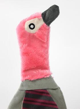 Puppies say theyre chewing their teeth and chewing paper, a