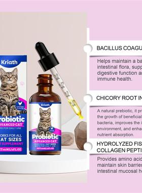 Its a mellow cat dropster, a warm and protective cats inte