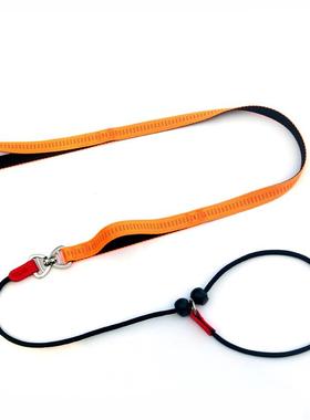 Puppies imitate the towed ropes and go to the P-chain traini