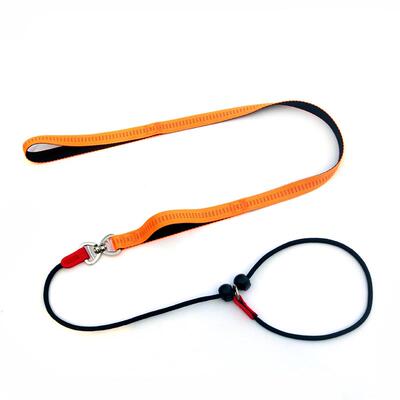 Puppies imitate the towed ropes and go to the P-chain traini