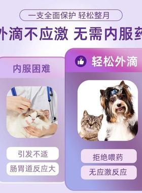 The cat deworming dog has a single deworming pet in and out