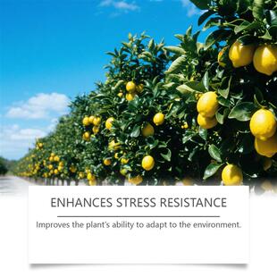 Fertilizer for fruit, flower gardening for flowering in and