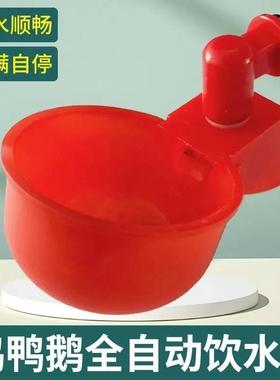 Automatic waterer for chickens, ducks, pigeons, and other bi