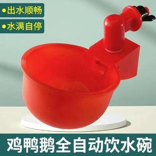 chickens ducks pigeons Automatic other for and waterer