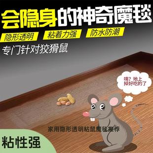 Mouse Trap Rat Strong Catch Powerful Large Board Super Glue