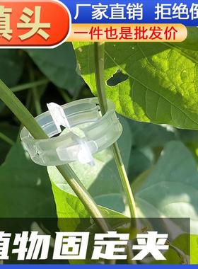 Tomato Vine Clip Hanger, Plastic Plant Tying Clips, Plant Su