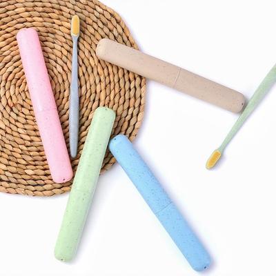 Travel Portable Toothbrush Case in Rainbow Candy Colors, Tra