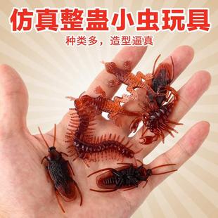 holiday Halloween fool simulation soft cockroach