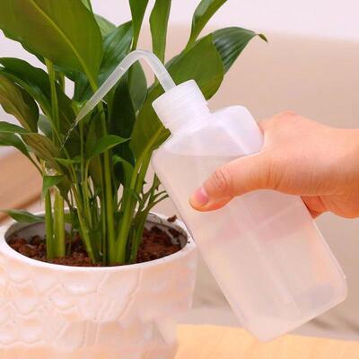 Bent nozzle household succulent plant watering bottle, spray