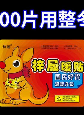 Warm Baby Pouch Kangaroo Hand Warmer Cute Cartoon Daily Autu