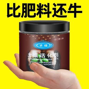 Fertilizer for Home Soil Plants Flower Potted Gen Activator
