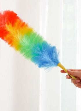 Internet celebrity household feather duster, car dusting Zen