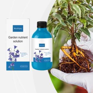 MoonSpry Concentrated Nutrient Solution for Flowers - A Plan