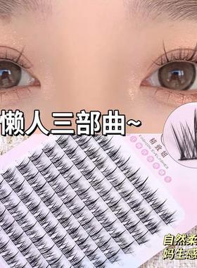 Lazy Trilogy False Eyelashes - Natural and Realistic, Single
