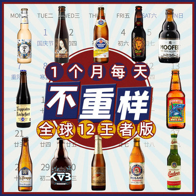 全球进口12瓶精酿啤酒