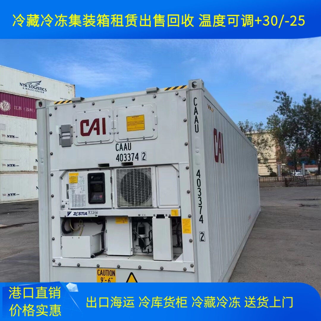 港口租赁出售6 12米冷藏冷冻集装箱 可出口海运货柜 保温移动冷藏