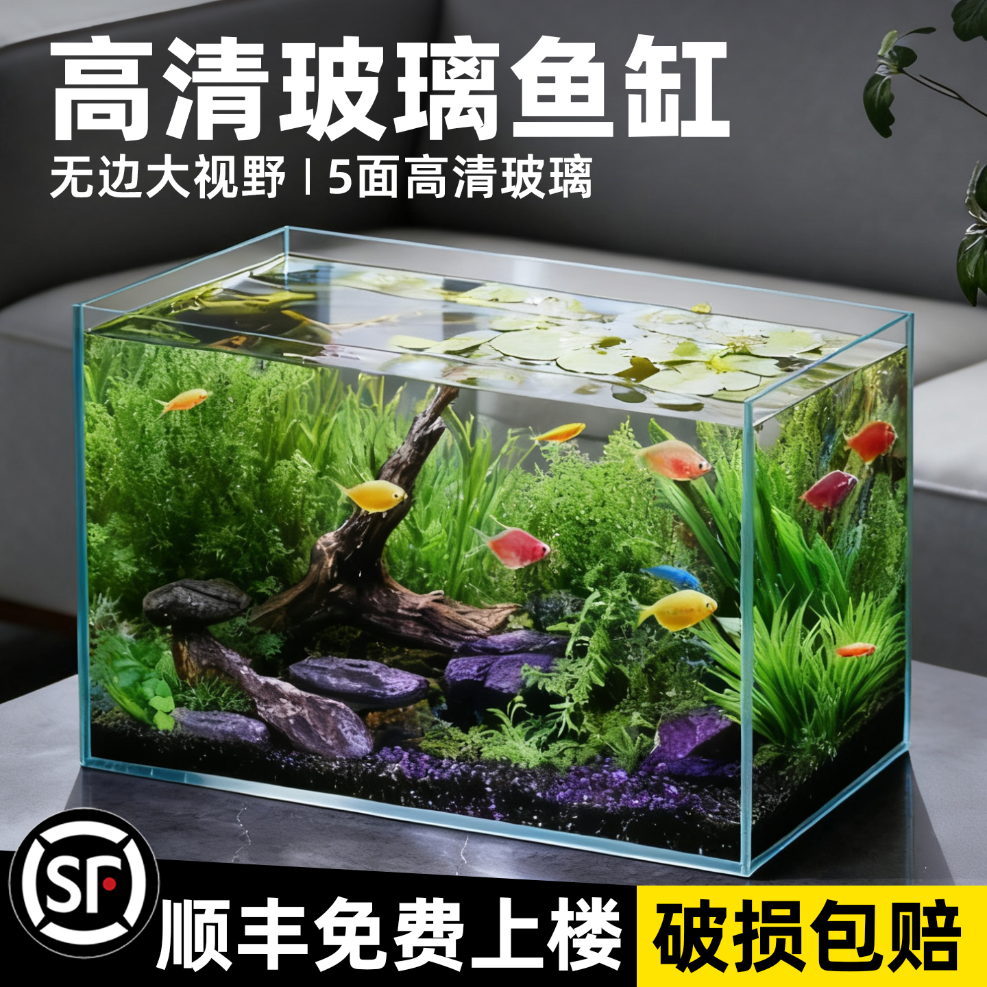 初迪2025玻璃家用生态小型金鱼缸