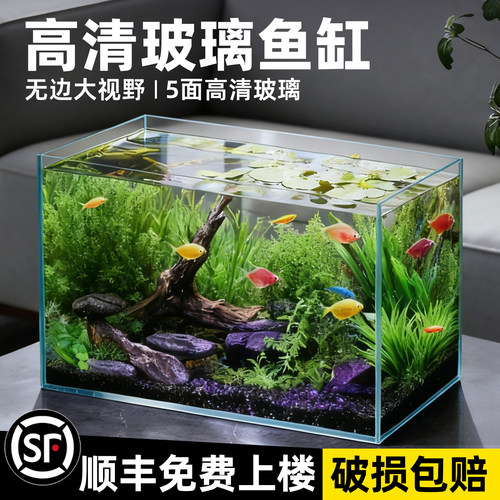 初迪2025玻璃家用生态小型金鱼缸