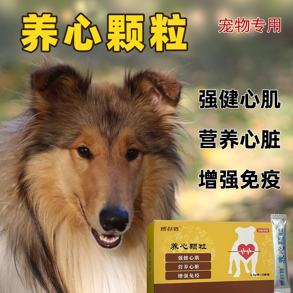 老年犬猫心脏肥大肺心病咳喘心脏病营...