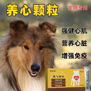 老年犬强健心肌营养心脏养心颗粒