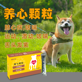 老年犬猫心脏肥大肺心病咳喘心脏病营养心脏康咳嗽气喘养心颗粒