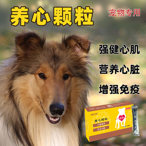 老年犬强健心肌营养心脏养心颗粒