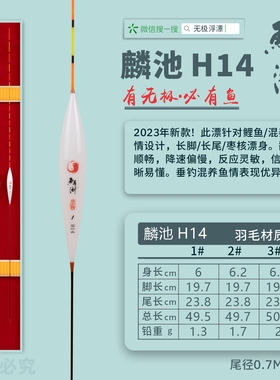麟池H14 宋杰麟 针对鲤鱼/快速鱼情 枣核漂身，灵敏 孔雀羽毛浮漂