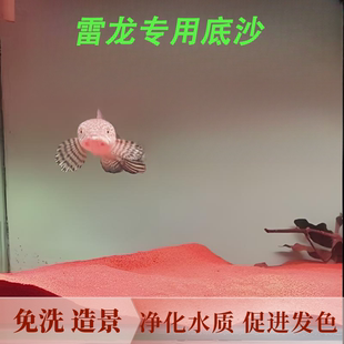 免洗鱼缸底砂造景装饰雨林沙南美尼罗河沙雷龙鱼专用底沙多色可选