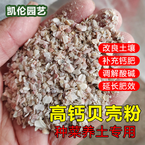 贝壳粉种菜养土用碳酸钙改良土壤