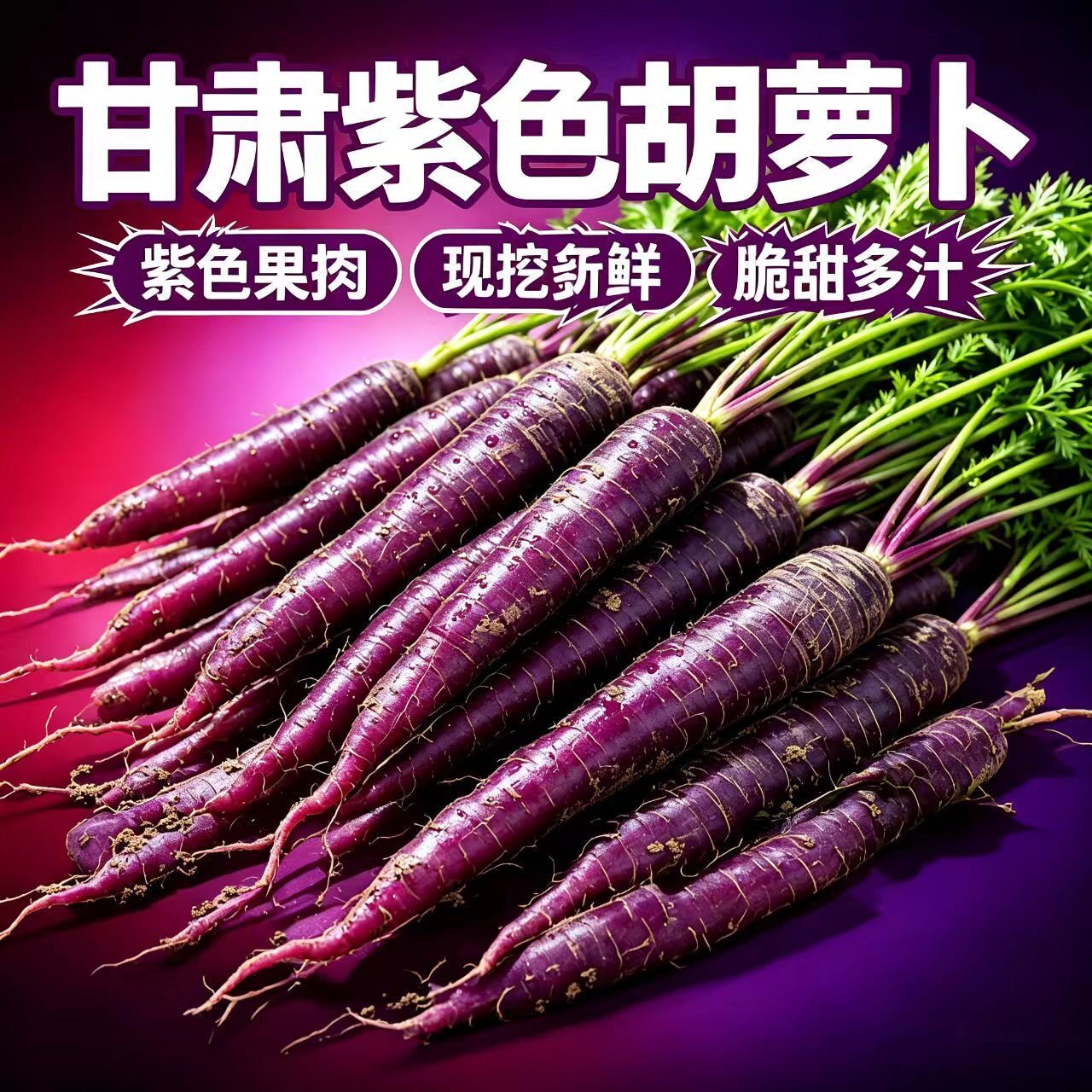 甘肃沙地新鲜胡萝卜蔬菜紫萝卜