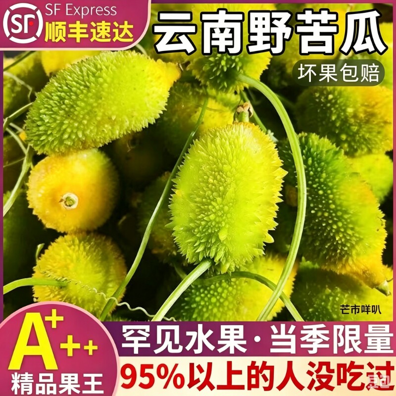 顺丰新鲜野苦瓜不苦的苦瓜煲汤素炒云南德宏大山长藤苦瓜金灯笼