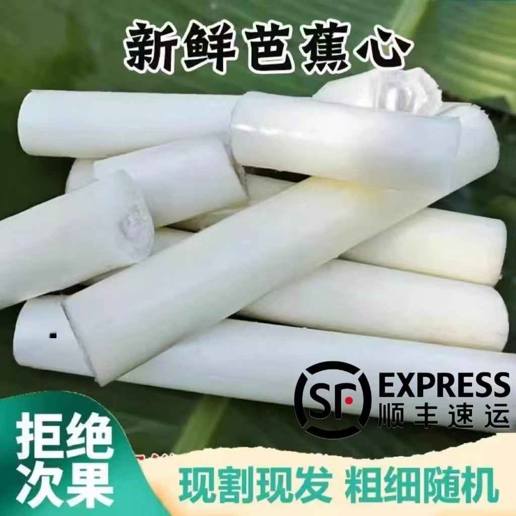 【顺丰】新鲜现摘天然野生芭蕉杆啦丝芭蕉心香蕉杆茎心 蕉茎