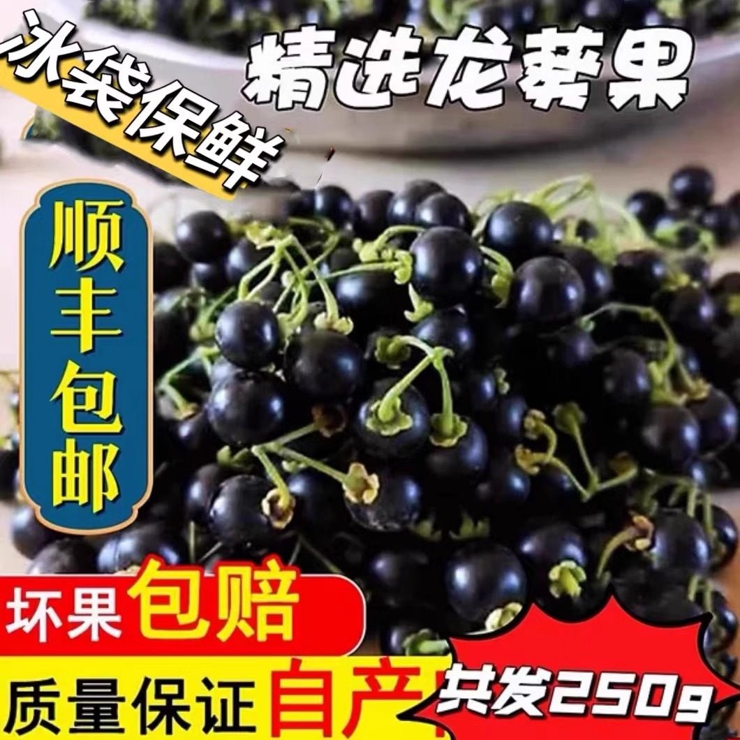 新鲜龙葵果非野生顺丰250克东北黑天天黑悠悠黑呦呦黑星星端水果