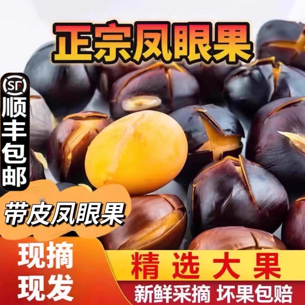 现货广东增城富贵子凤眼果新鲜苹婆九层皮孕妇不带荚大果顺丰包邮