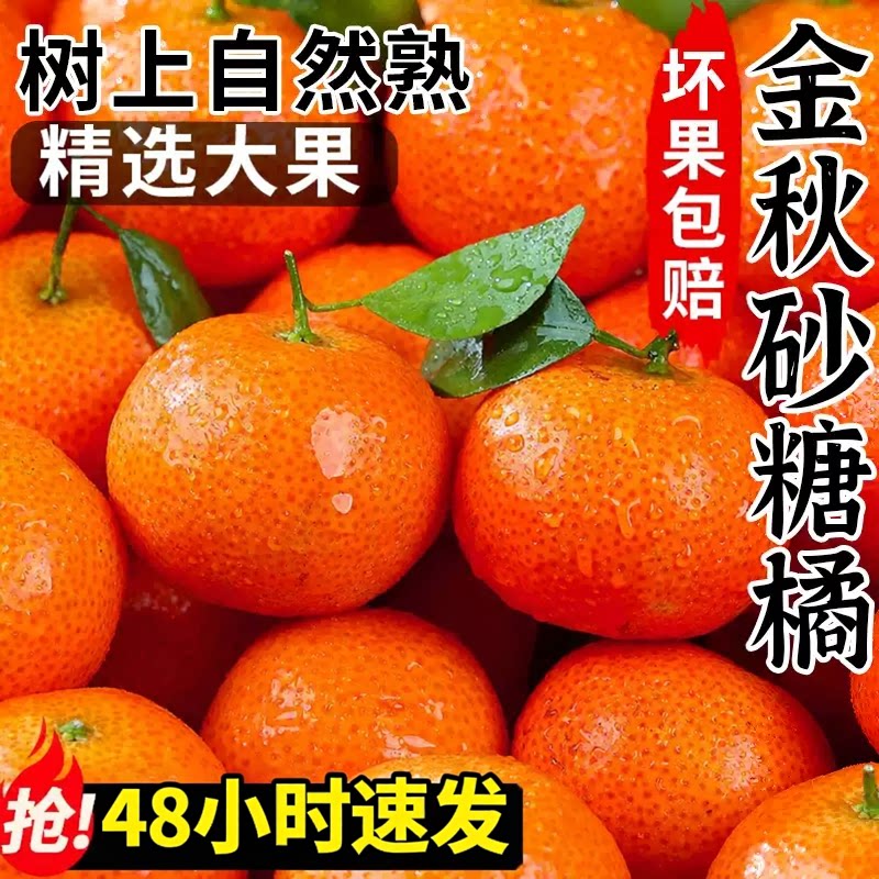 现货广西砂糖橘新鲜当季整箱水果5斤孕妇正宗金秋沙糖蜜桔小柑橘
