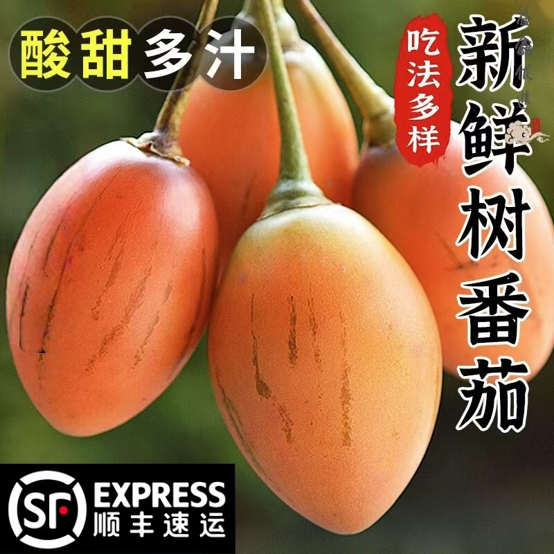 顺丰树番茄云南洋酸茄大树鸡蛋果新鲜凉拌做菜原生态水果现摘