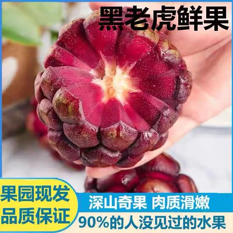 现货新鲜黑老虎水果大血藤果布福娜酒饭团稀奇古怪当季稀有恶魔果