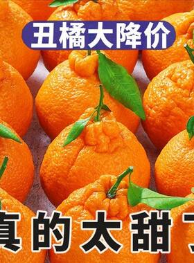 正宗四川不知火丑橘新鲜5斤整箱水果当季粑粑丑八怪柑橘耙耙桔子