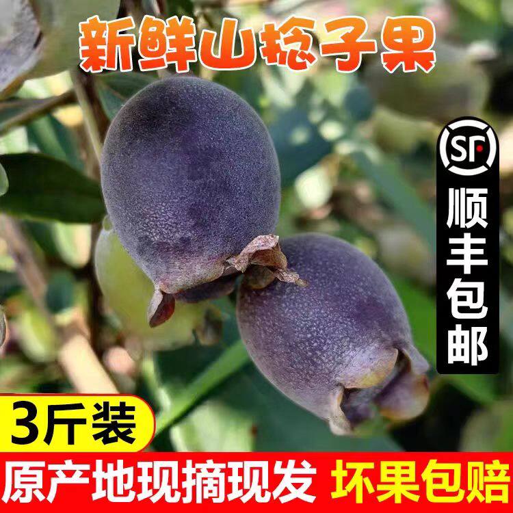 新鲜桃金娘鲜果捻子果多尼果可泡酒稔子果新鲜山捻子鲜果3斤
